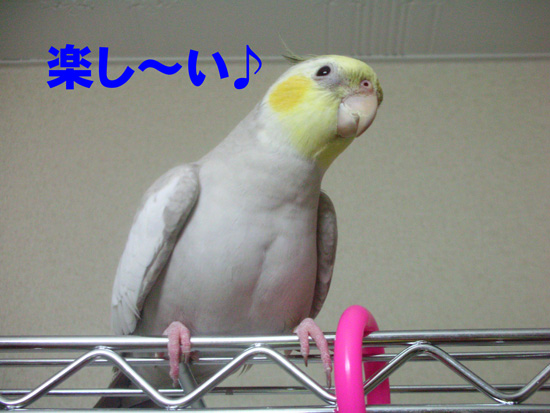 良かったねぇ
