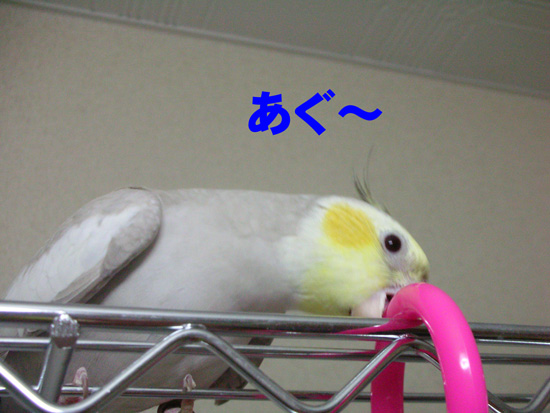 あぐ~っと