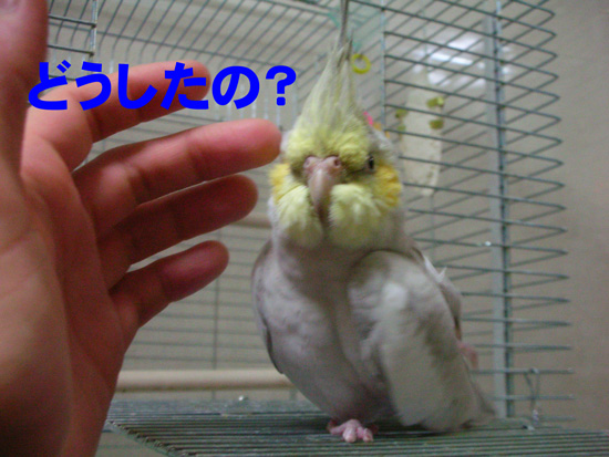 すごい顔だったよ~