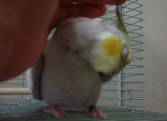 ギョッ