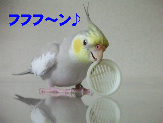 ご機嫌だね~