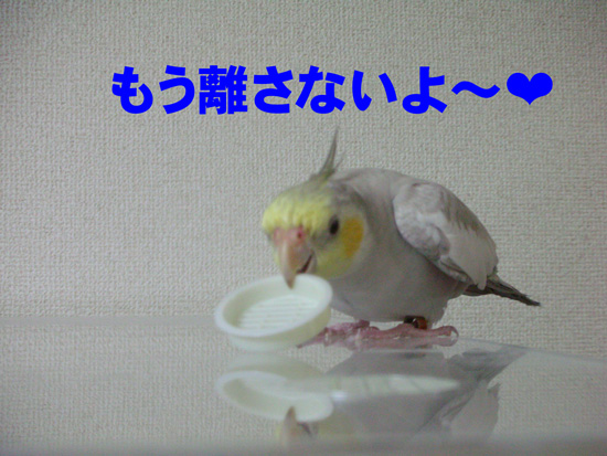 いや、返してよ、風