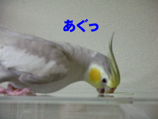 あぐっ