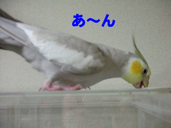 あ~ん