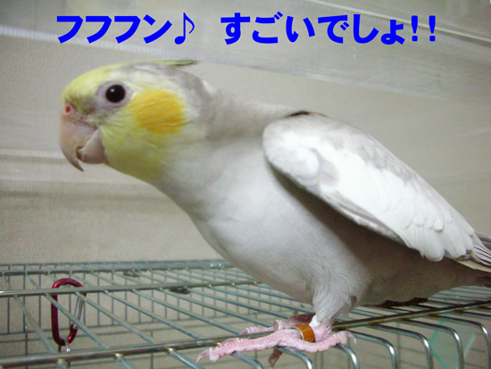 すごい……のかな?