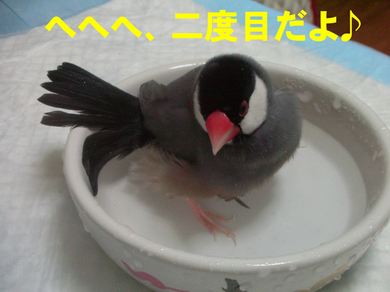 二度風呂だよね