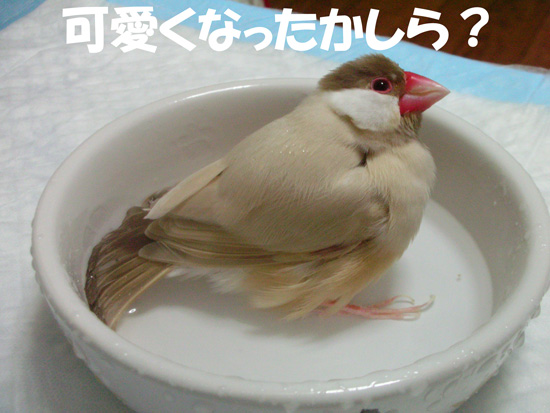 やっぱり女子だね