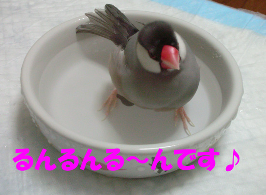 ご機嫌だねぇ