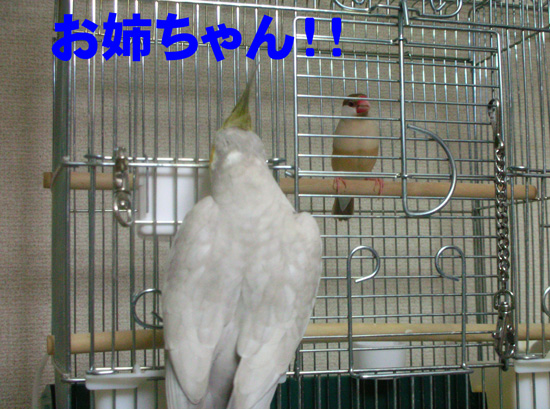 気になるの?