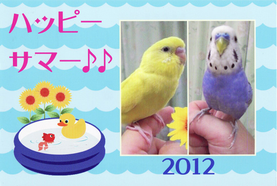 ぴぃこちゃん、まるちゃん