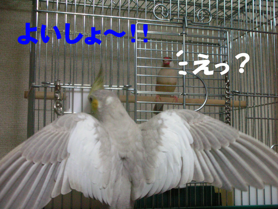 紋のところに?