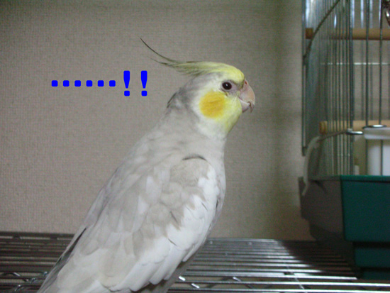 風?