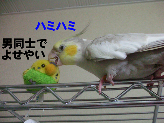 ハミハミ!!