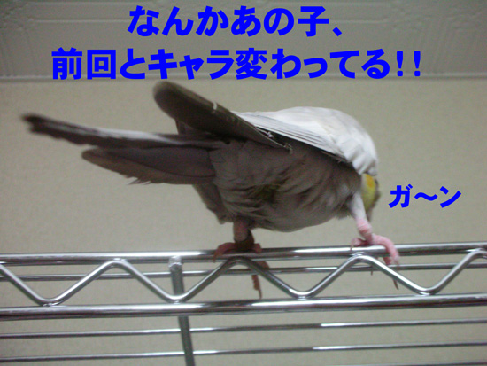 たしかに