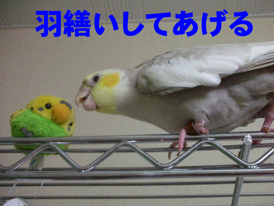 おぉ