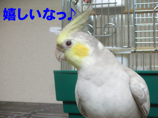 風も大喜び