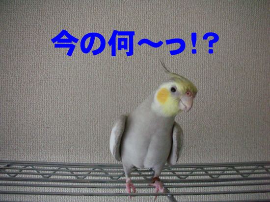 塩土さんだよ(泣)