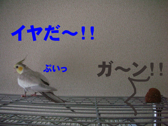 なぜ!?