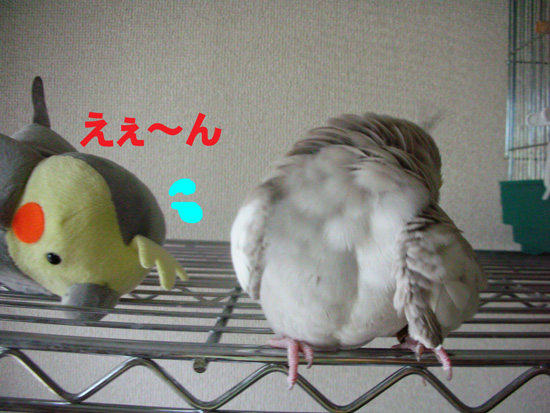 ぬいぐるみちゃんが
