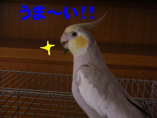 良かったね!!