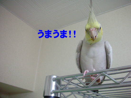 やっと