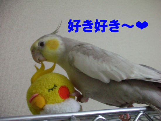 ハミハミ