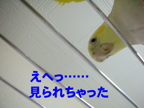 そりゃあね