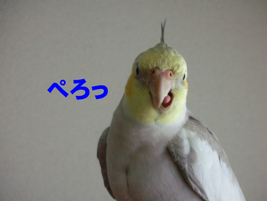 ペコちゃん!?