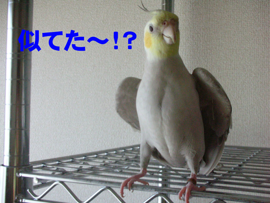 うん(笑)