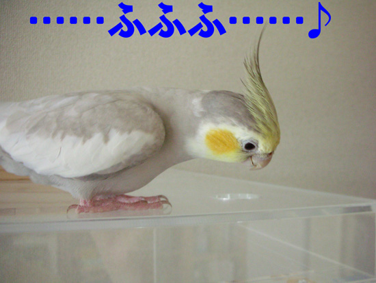 ご満悦の表情
