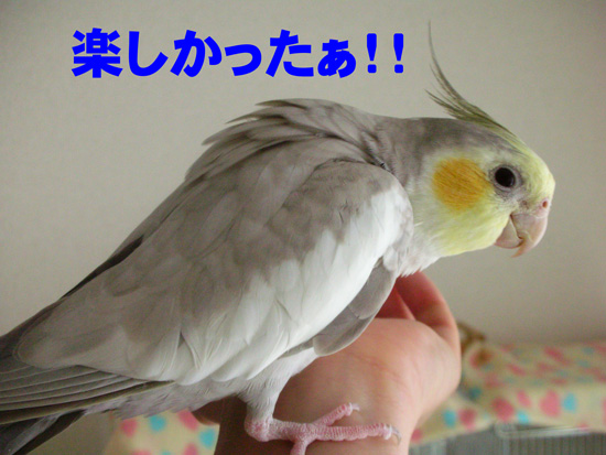 いっぱい遊んだね
