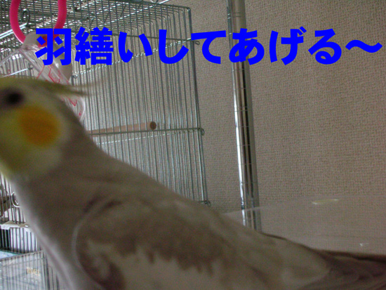 ありがとう!!