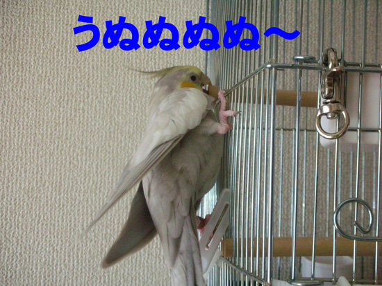 必死!!