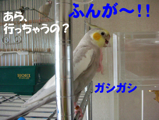 今度は何だ???