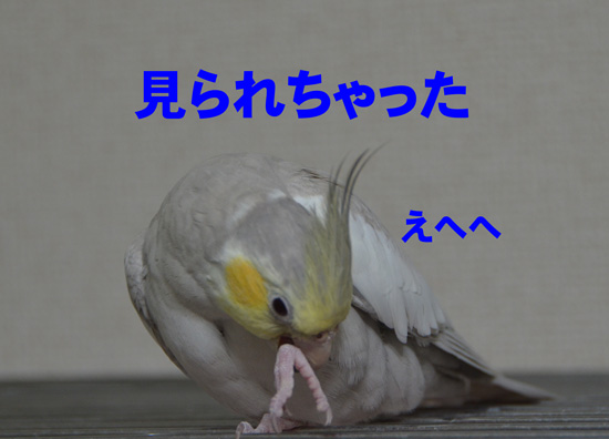 照れ笑い