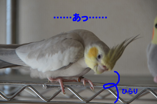 あっ