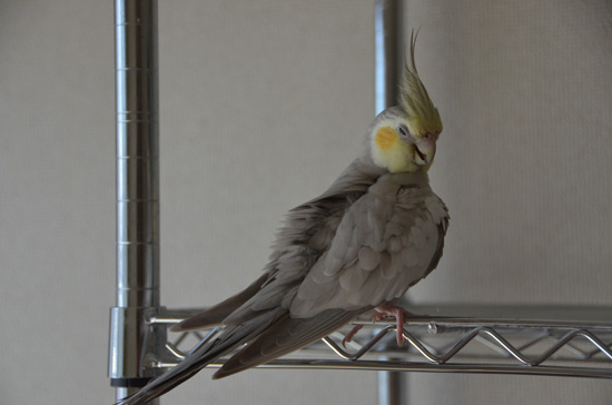 マダム!?その1