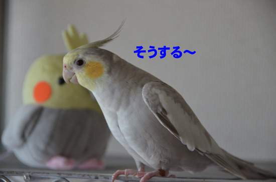 素直