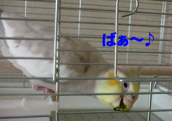 ギョッ!!