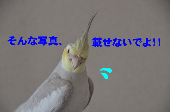 ごめんね~^_^;