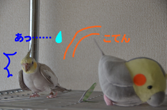 倒しちゃった(・・;)