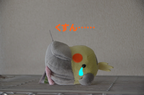 ありゃ