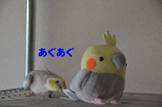 あぐあぐ