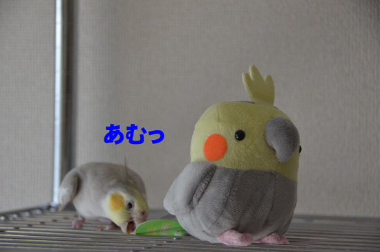 あむっ