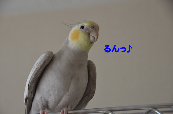 いい笑顔