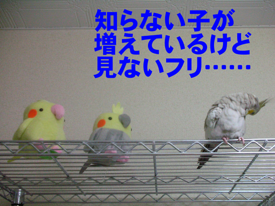 見てよ~