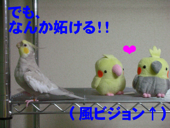 風ビジョン