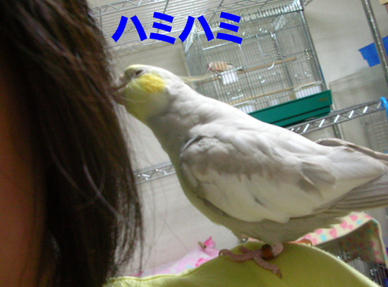 風、サンキュー!!