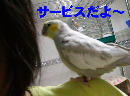 サービス!?)^o^(
