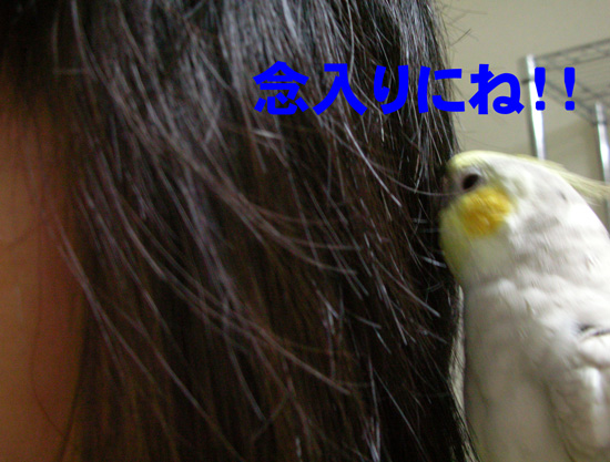 ありがとう~!!